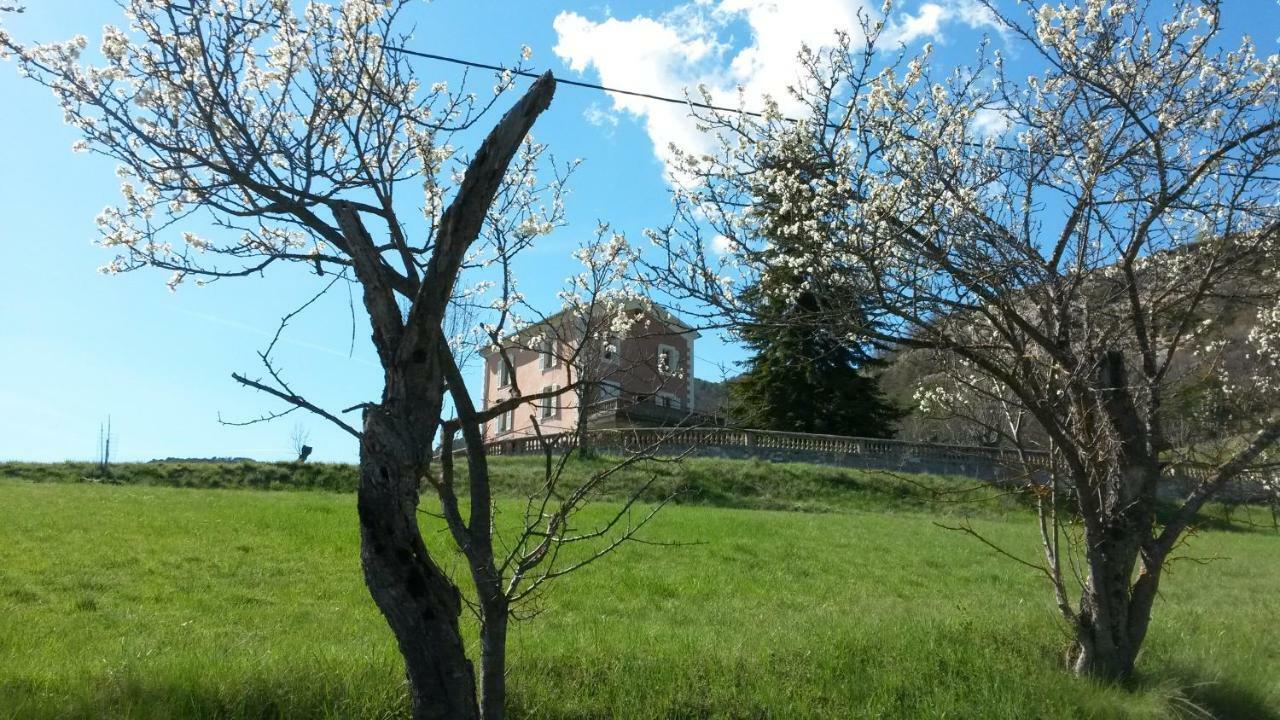 La Villa Du Collet La Penne Экстерьер фото